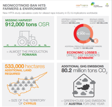 Captura para imagen de la infografía