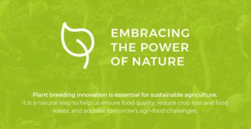 Logo Embracing Nature
