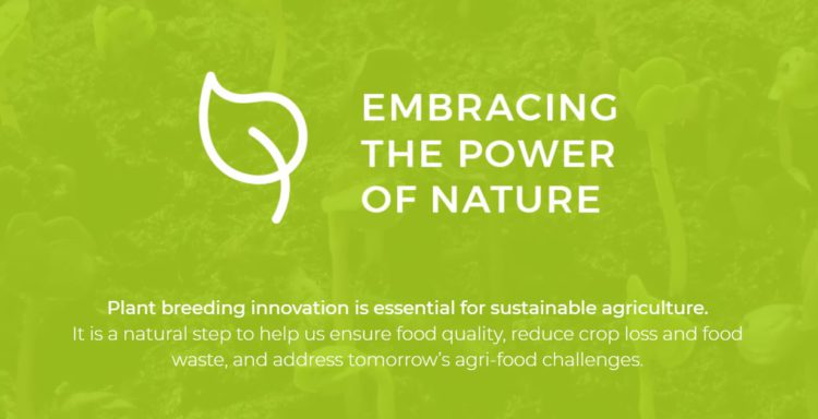 Logo Embracing Nature