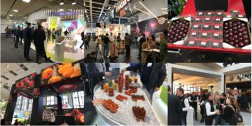 180219 Post Fruit Logistica