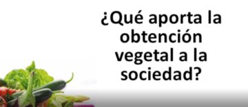 Captura