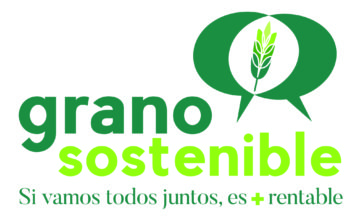 grano sostenible final